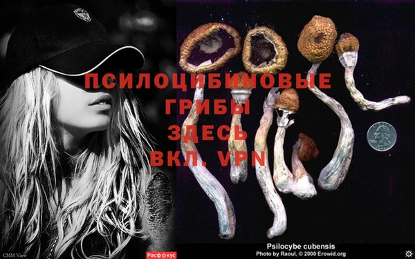 прущая мука Майский
