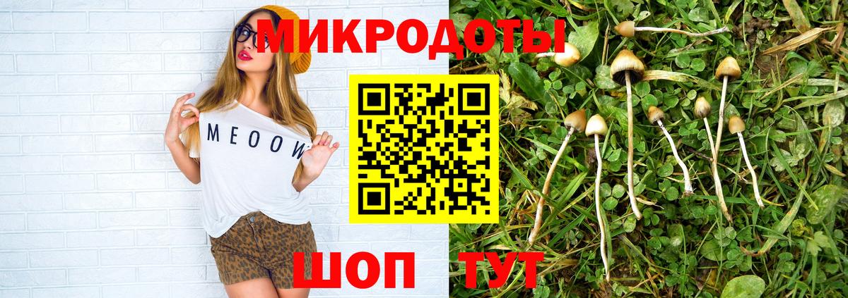 Галлюциногенные грибы GOLDEN TEACHER Темрюк