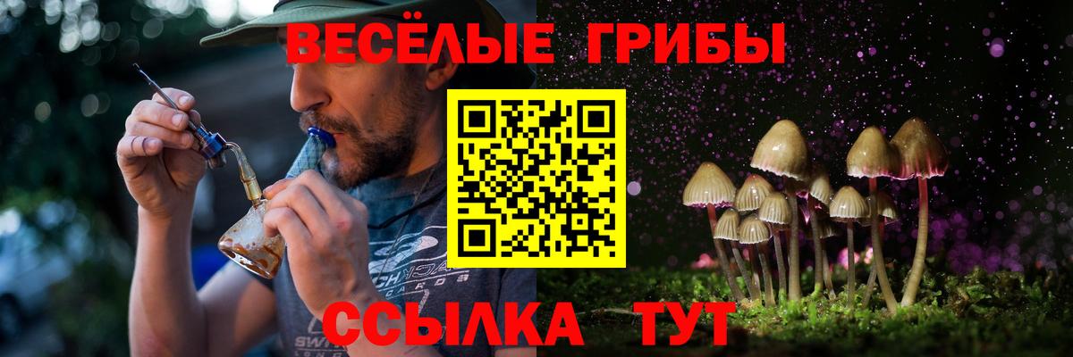 Темрюк  Псилоцибиновые грибы Cubensis  Вход с VPN 